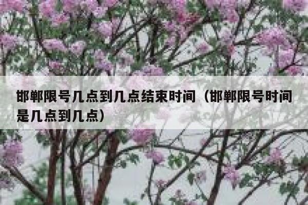 邯郸限号几点到几点结束时间（邯郸限号时间是几点到几点） 第1张