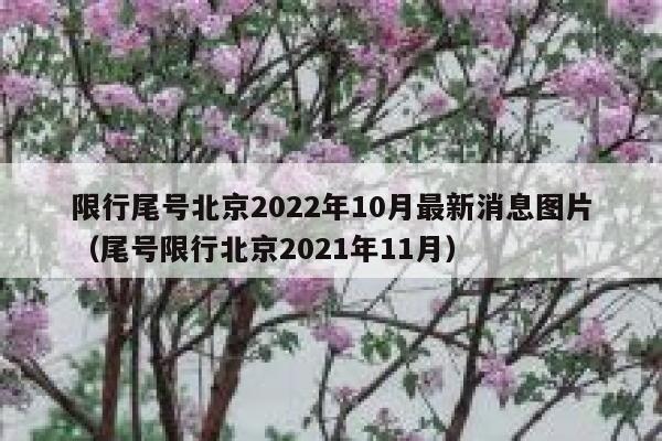 限行尾号北京2022年10月最新消息图片（尾号限行北京2021年11月） 第1张