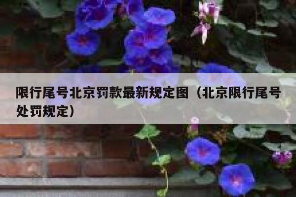 限行尾号北京罚款最新规定图（北京限行尾号处罚规定） 第1张