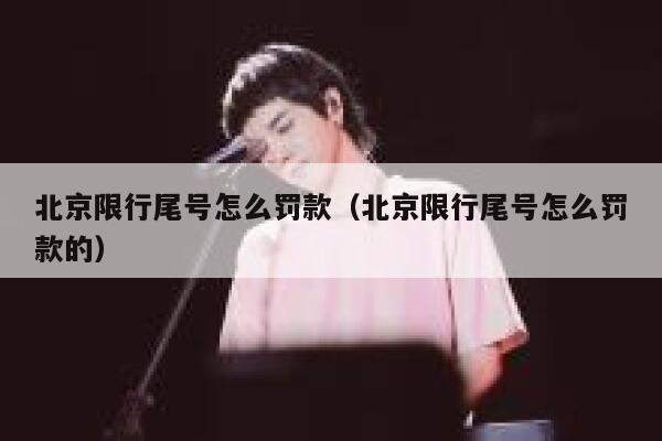 北京限行尾号怎么罚款（北京限行尾号怎么罚款的） 第1张
