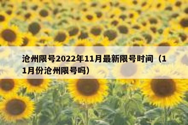 沧州限号2022年11月最新限号时间（11月份沧州限号吗） 第1张