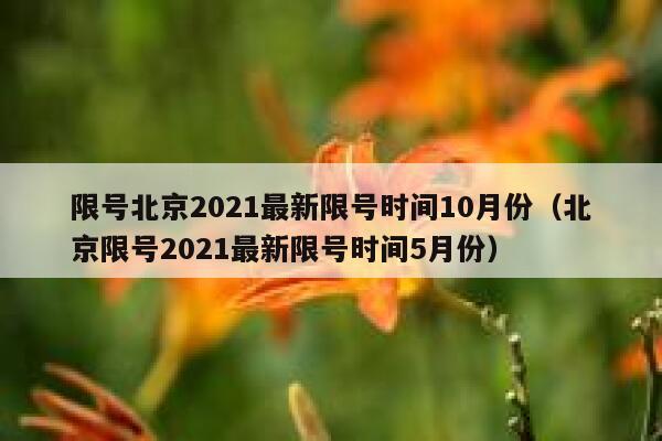 限号北京2021最新限号时间10月份（北京限号2021最新限号时间5月份） 第1张