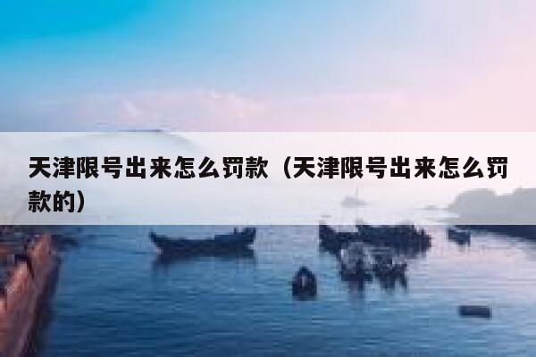 天津限号出来怎么罚款（天津限号出来怎么罚款的） 第1张