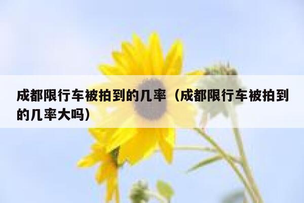 成都限行车被拍到的几率（成都限行车被拍到的几率大吗） 第1张