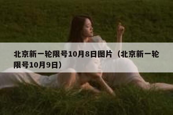 北京新一轮限号10月8日图片（北京新一轮限号10月9日） 第1张