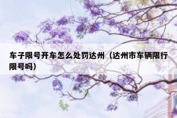 车子限号开车怎么处罚达州（达州市车辆限行限号吗） 第1张