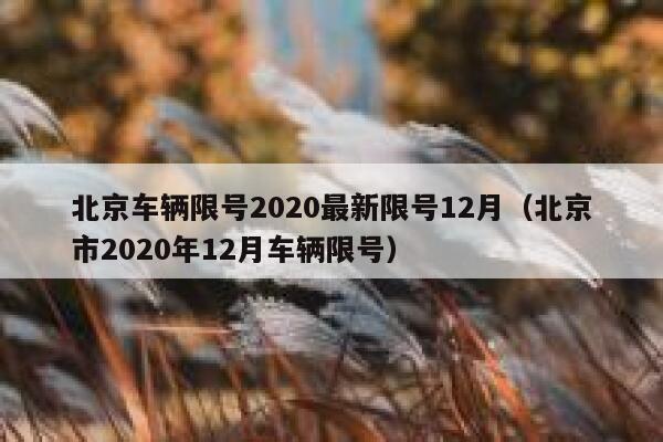 北京车辆限号2020最新限号12月（北京市2020年12月车辆限号） 第1张