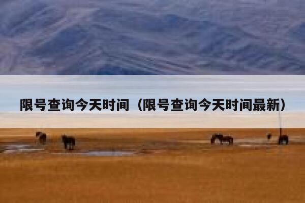 限号查询今天时间（限号查询今天时间最新） 第1张