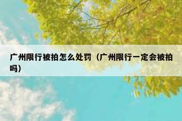 广州限行被拍怎么处罚（广州限行一定会被拍吗） 第1张