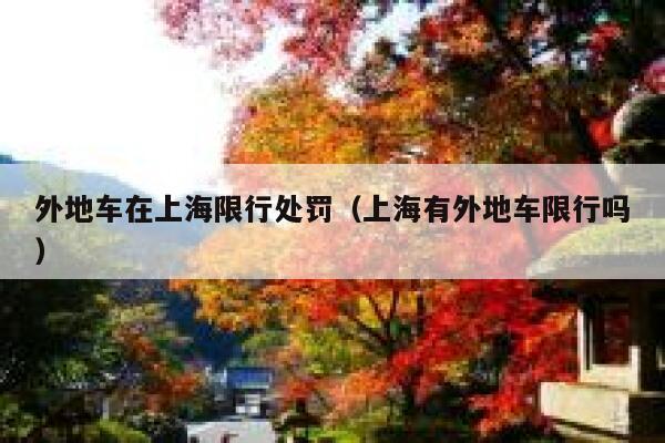 外地车在上海限行处罚（上海有外地车限行吗） 第1张