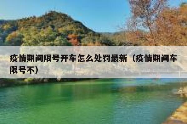 疫情期间限号开车怎么处罚最新（疫情期间车限号不） 第1张