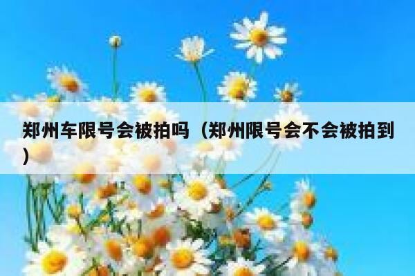 郑州车限号会被拍吗（郑州限号会不会被拍到） 第1张