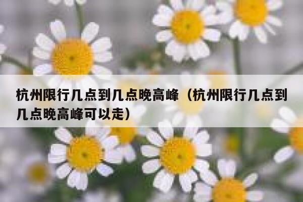 杭州限行几点到几点晚高峰（杭州限行几点到几点晚高峰可以走） 第1张