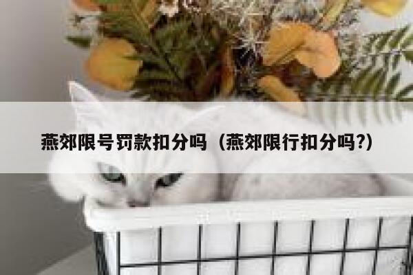 燕郊限号罚款扣分吗（燕郊限行扣分吗?） 第1张