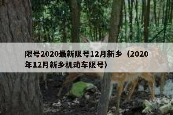 限号2020最新限号12月新乡（2020年12月新乡机动车限号） 第1张
