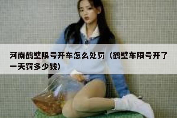 河南鹤壁限号开车怎么处罚（鹤壁车限号开了一天罚多少钱） 第1张