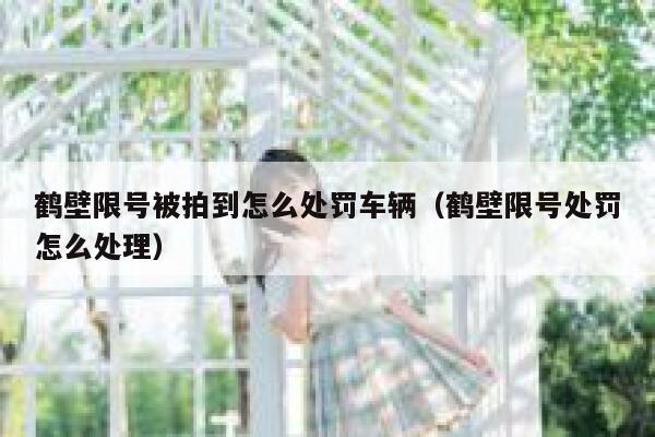 鹤壁限号被拍到怎么处罚车辆（鹤壁限号处罚怎么处理） 第1张