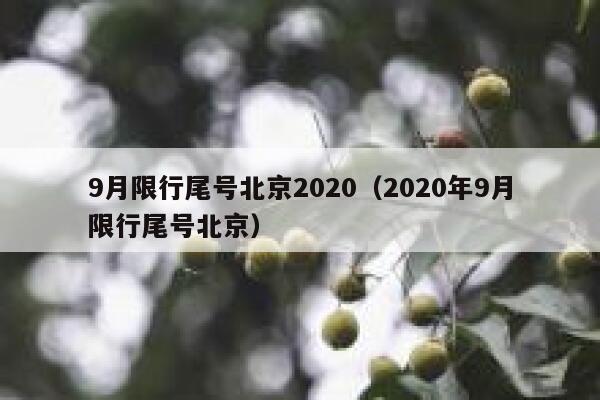 9月限行尾号北京2020(2020年9月限行尾号北京) 第1张 9月限行尾号北京2020(2020年9月限行尾号北京) 第1张