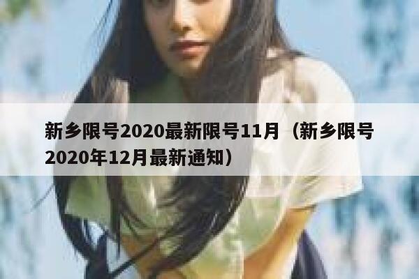 新乡限号2020最新限号11月（新乡限号2020年12月最新通知） 第1张