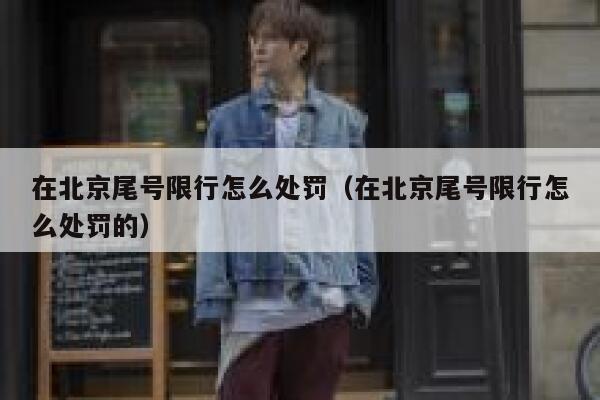 在北京尾号限行怎么处罚（在北京尾号限行怎么处罚的） 第1张