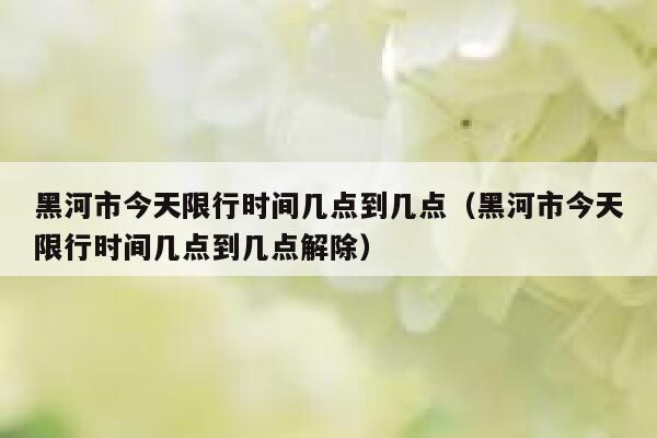 黑河市今天限行时间几点到几点（黑河市今天限行时间几点到几点解除） 第1张