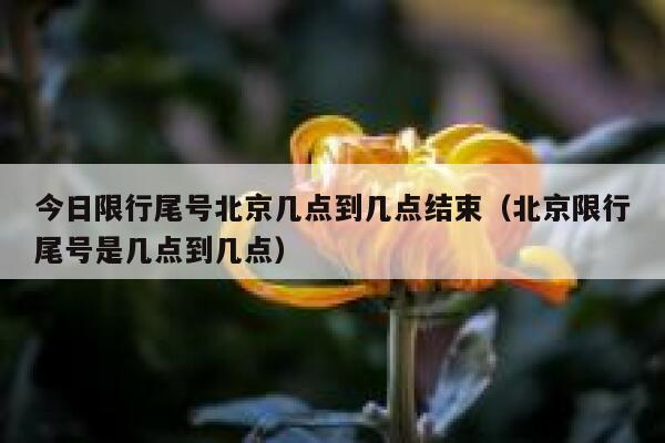 今日限行尾号北京几点到几点结束（北京限行尾号是几点到几点） 第1张