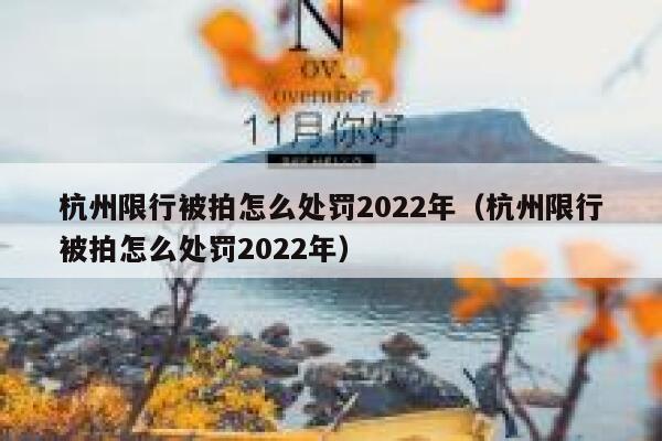 杭州限行被拍怎么处罚2022年（杭州限行被拍怎么处罚2022年） 第1张