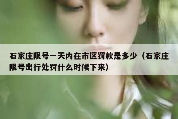 石家庄限号一天内在市区罚款是多少（石家庄限号出行处罚什么时候下来） 第1张