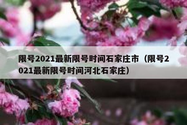 限号2021最新限号时间石家庄市（限号2021最新限号时间河北石家庄） 第1张