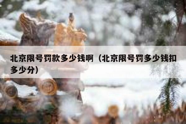 北京限号罚款多少钱啊（北京限号罚多少钱扣多少分） 第1张
