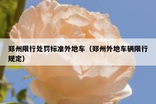 郑州限行处罚标准外地车（郑州外地车辆限行规定） 第1张