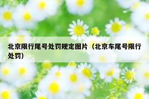 北京限行尾号处罚规定图片（北京车尾号限行处罚） 第1张