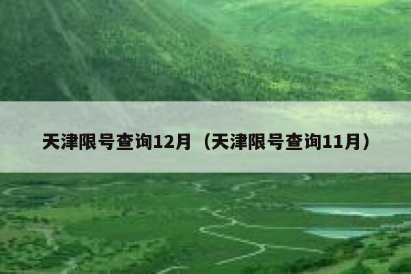 天津限号查询12月（天津限号查询11月） 第1张