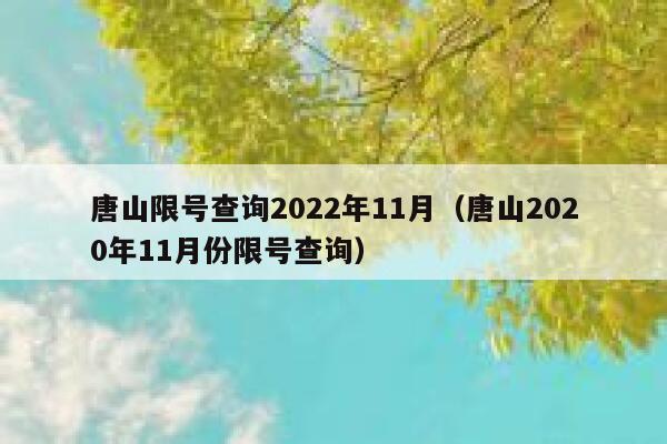 唐山限号查询2022年11月（唐山2020年11月份限号查询） 第1张
