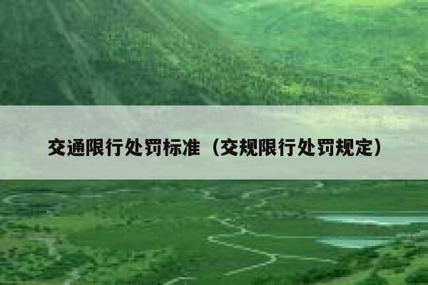 交通限行处罚标准（交规限行处罚规定） 第1张