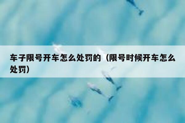 车子限号开车怎么处罚的（限号时候开车怎么处罚） 第1张
