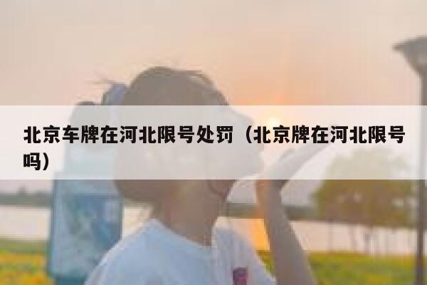 北京车牌在河北限号处罚（北京牌在河北限号吗） 第1张