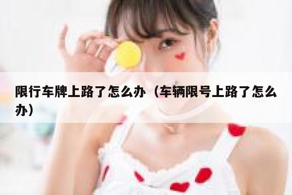 限行车牌上路了怎么办(车辆限号上路了怎么办) 第1张 限行车牌上路了怎么办(车辆限号上路了怎么办) 第1张