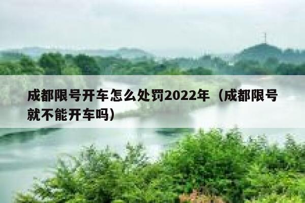 成都限号开车怎么处罚2022年（成都限号就不能开车吗） 第1张