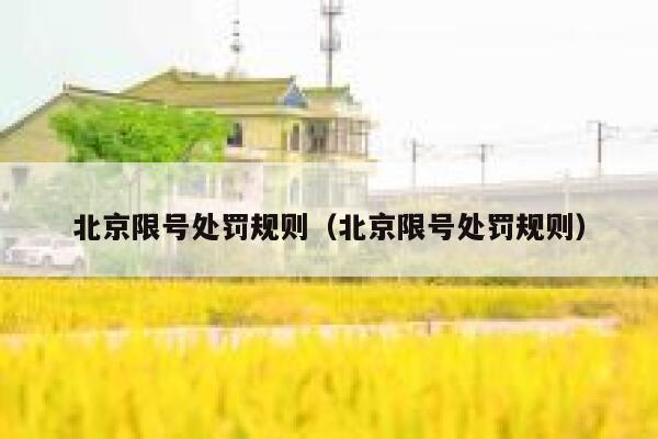 北京限号处罚规则（北京限号处罚规则） 第1张