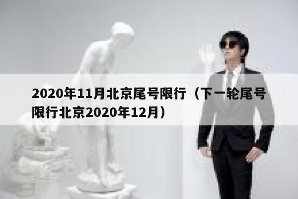 2020年11月北京尾号限行（下一轮尾号限行北京2020年12月） 第1张