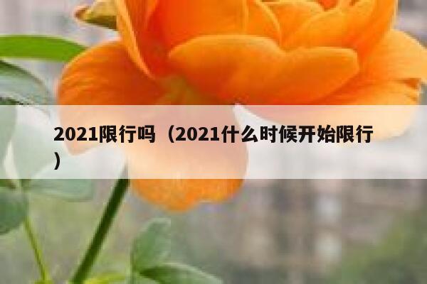 2021限行吗（2021什么时候开始限行） 第1张