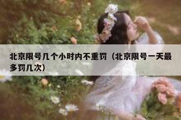 北京限号几个小时内不重罚（北京限号一天最多罚几次） 第1张