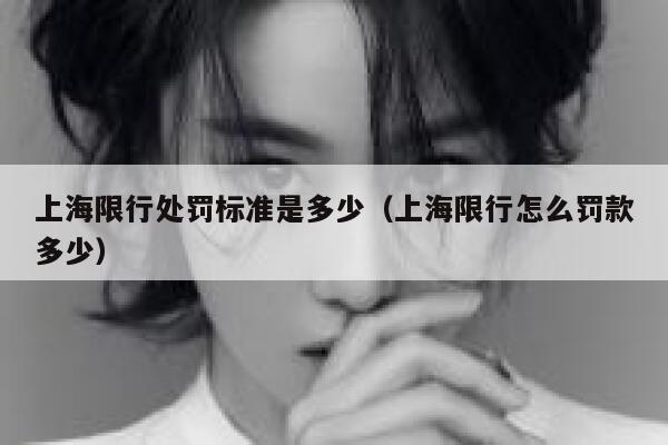 上海限行处罚标准是多少（上海限行怎么罚款多少） 第1张