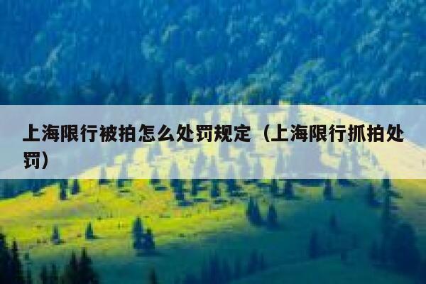 上海限行被拍怎么处罚规定（上海限行抓拍处罚） 第1张