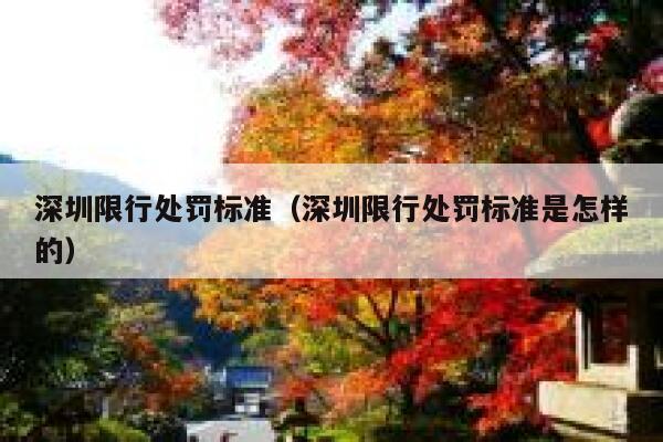深圳限行处罚标准（深圳限行处罚标准是怎样的） 第1张