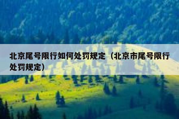 北京尾号限行如何处罚规定（北京市尾号限行处罚规定） 第1张