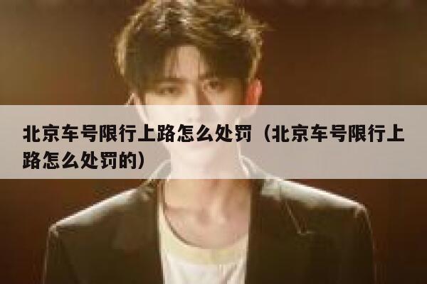 北京车号限行上路怎么处罚（北京车号限行上路怎么处罚的） 第1张