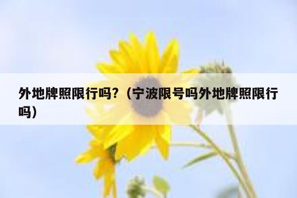 外地牌照限行吗?(宁波限号吗外地牌照限行吗) 第1张 外地牌照限行吗?(宁波限号吗外地牌照限行吗) 第1张
