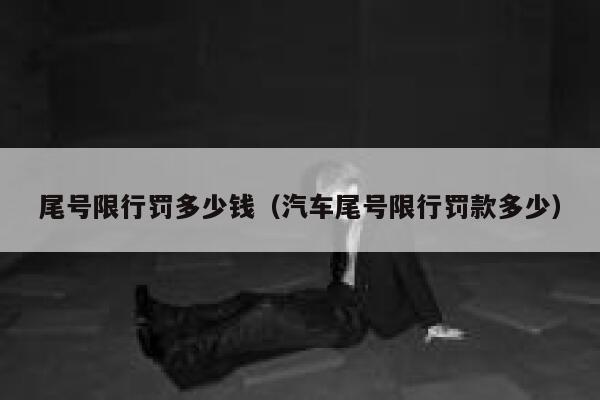 尾号限行罚多少钱（汽车尾号限行罚款多少） 第1张